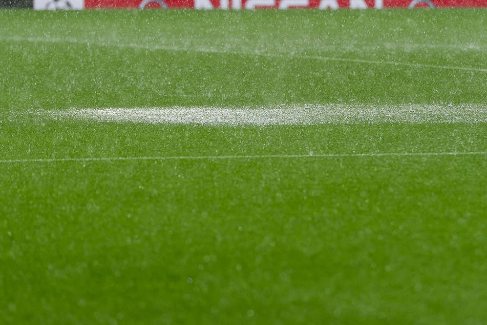 Der starke Regen der vergangenen Tage hat den Rasen im Bruno-Plache-Stadion unbespielbar gemacht.