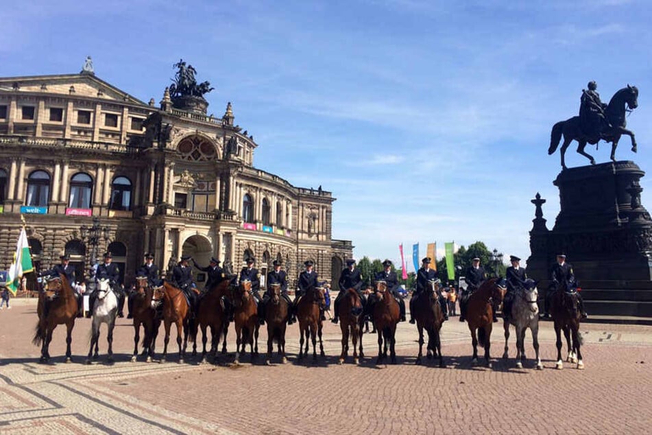 14 Pferde posierten mit ihren Reitern am Dienstag für ein Foto.