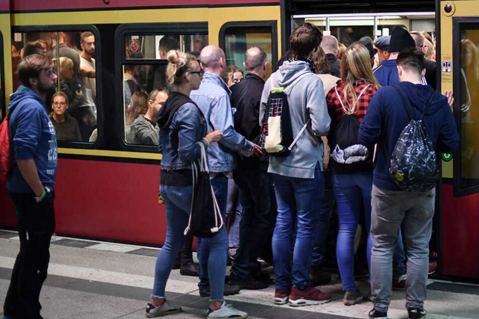 Am Donnerstagmorgen kommt es auf den Linien S3, S5, S7 und S75 zu Verspätungen und Ausfällen. (Symbolbild)