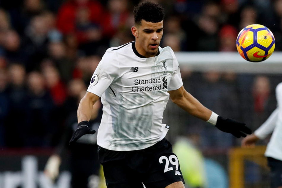 War beim VfB im Gespräch, doch Dominic Solanke (Bild) entschied sich für den Premier-League-Club AFC Bournmouth.