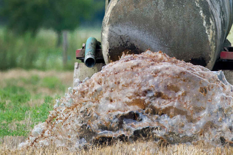 Der mutmaßliche "Gülle-Mord" sorgt vor Prozessbeginn für Aufsehen. (Symbolbild)