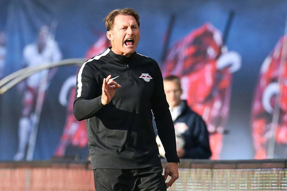 Ralph Hasenhüttl findet, dass die Anfeindungen zusätzlich motivieren.
