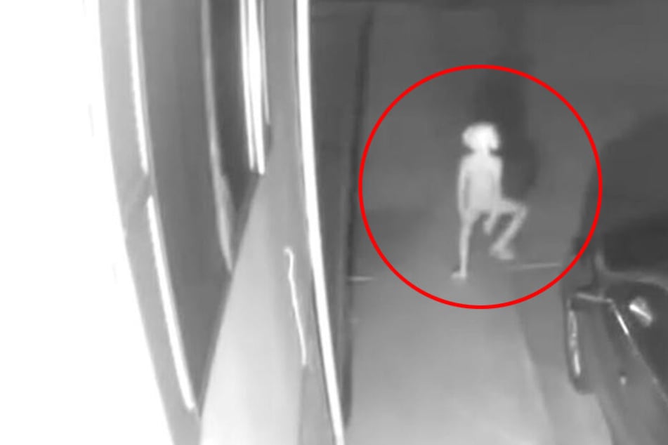 Kind, Alien oder Dobby der Elf? Was ist das?