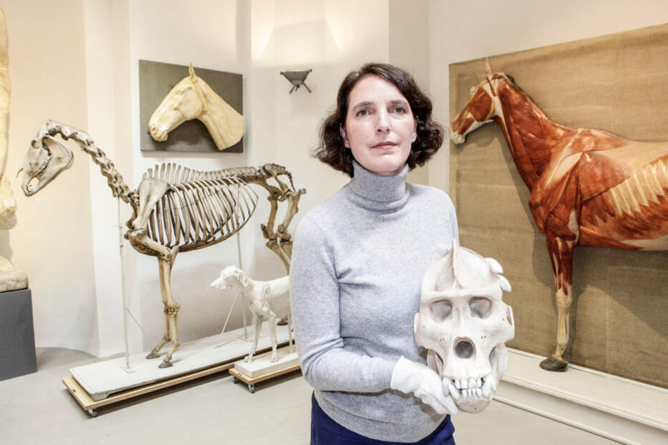 Sandra Mühlenberend mit einem Gorilla-Schädel