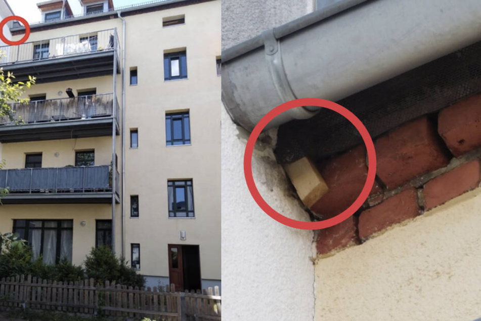 Mit einem Keil war der Nistplatz der Vögel verschlossen worden.