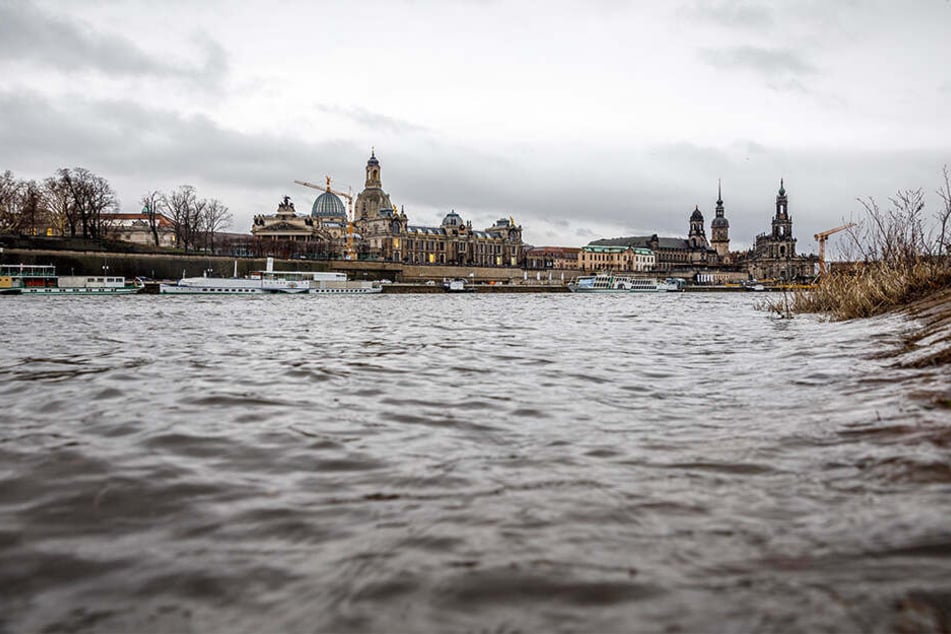 Ganz anders als im Trocken-Sommer: Die Elbe in Dresden führt wieder gut Wasser.