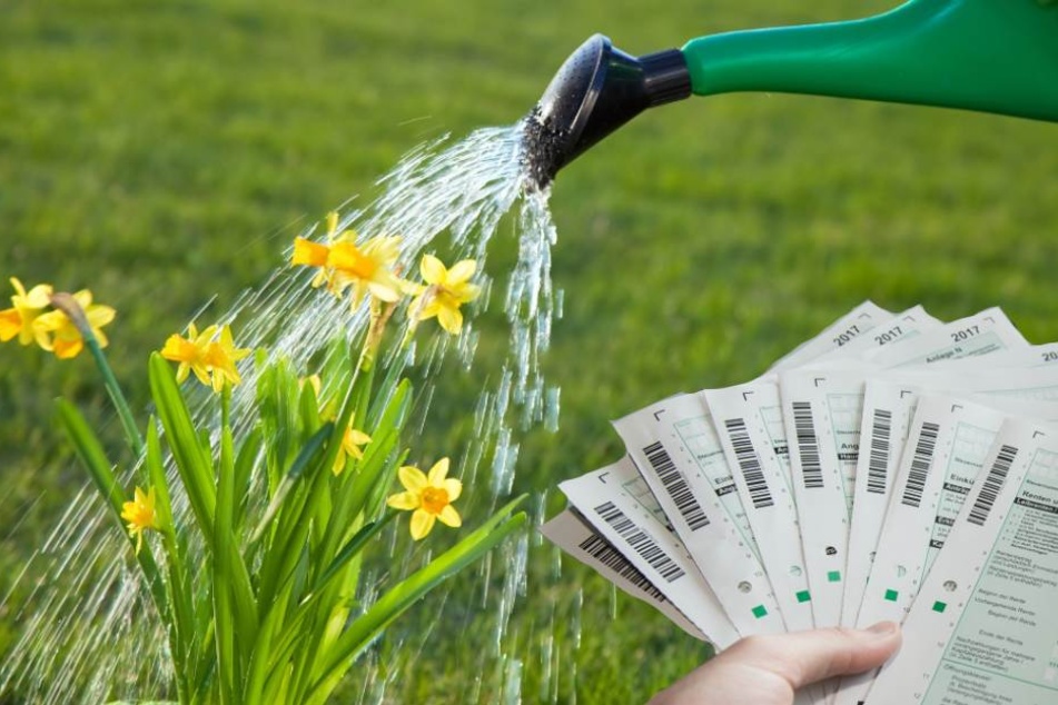 Hohe Gießwasserkosten können unter Umständen auf die Abwassergebühren angerechnet werden (Symbolbild).