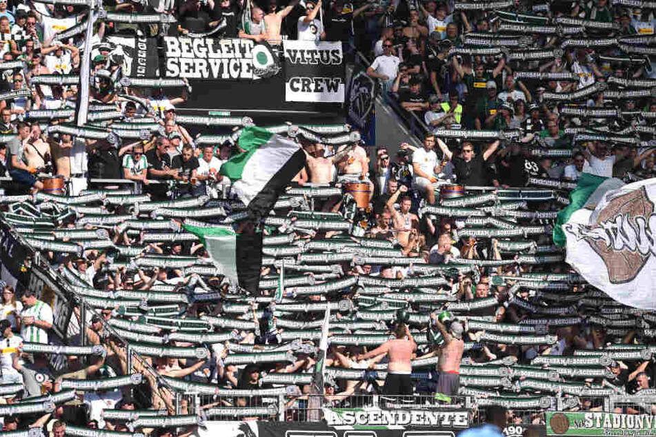Fans von Borussia Mönchengladbach