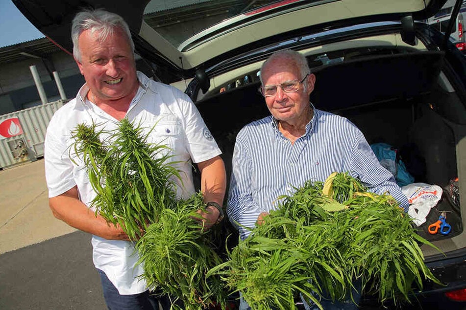 Norbert Schmidbauer (l.) und Heinz Friedrich Schönleber beraten das nordamerikanische Unternehmen beim Anbau von Cannabis.