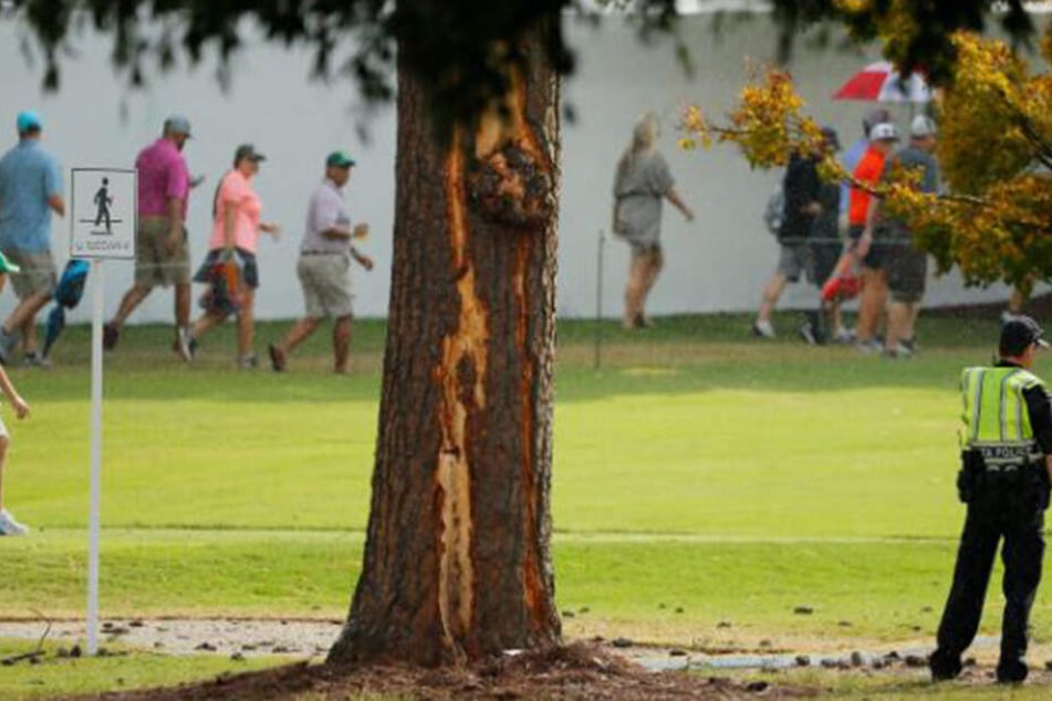 Der getroffenen Baum in der Nähe des 16. Abschlags.