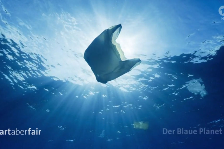 Montags zeigt die ARD die BBC-Serie "Unser blauer Planet" beeindruckende Bilder in HD.
