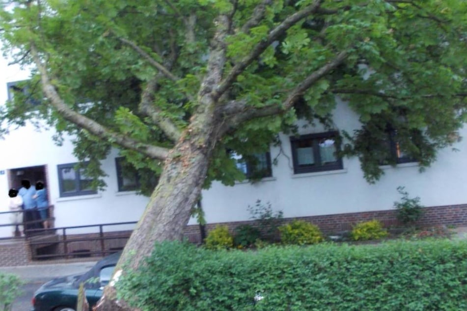 Noch in der Nacht konnte die Feuerwehr den Baum zersägen und abtransportieren.
