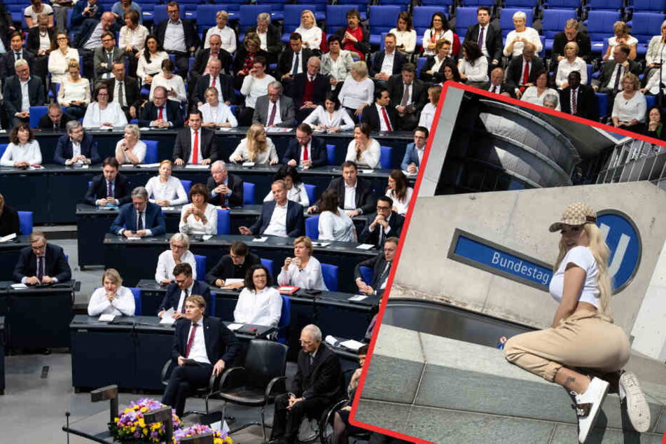 "Doggy ist ihr Hobby", auch vor dem Bundestag.