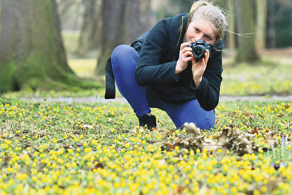 Eine Wiese
voller
Winterlinge
dient
Christina
(21) als
Frühlingsmotiv.
