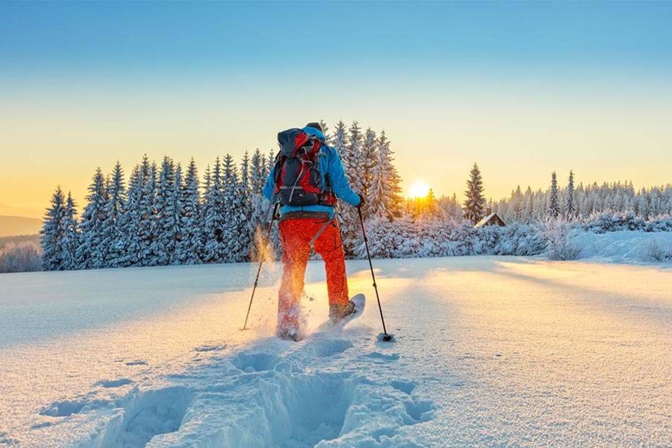 Ab Montag werden bundesweit neue Schneefälle erwartet.