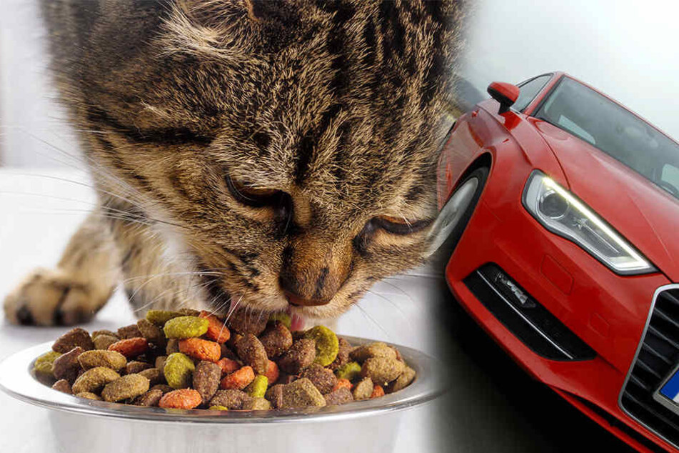 Nachdem sie Katzenfutter geklaut hatte, fuhr die Diebin noch einen Mitarbeiter von "Fressnapf" an.