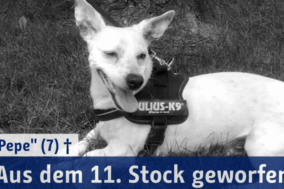Die Berliner Polizei startete mit diesem Bild ein Zeugenaufruf im Juni 2016.