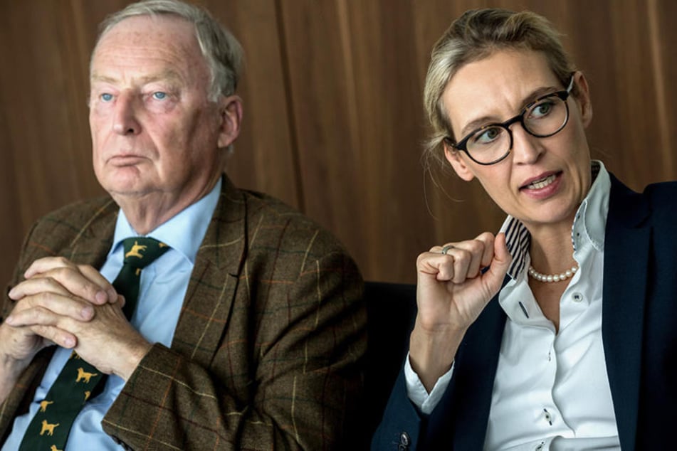 Alexander Gauland und Alice Weidel fragen sich, warum die Parteichefin sie meidet.