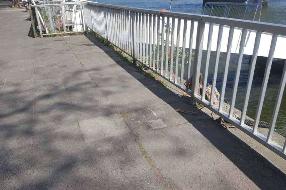Das alte Pflaster und das alte Geländer am Rhein.