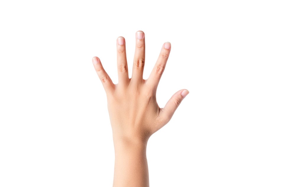 Welche Sexualität man hat, können die Fingerlängen verraten.