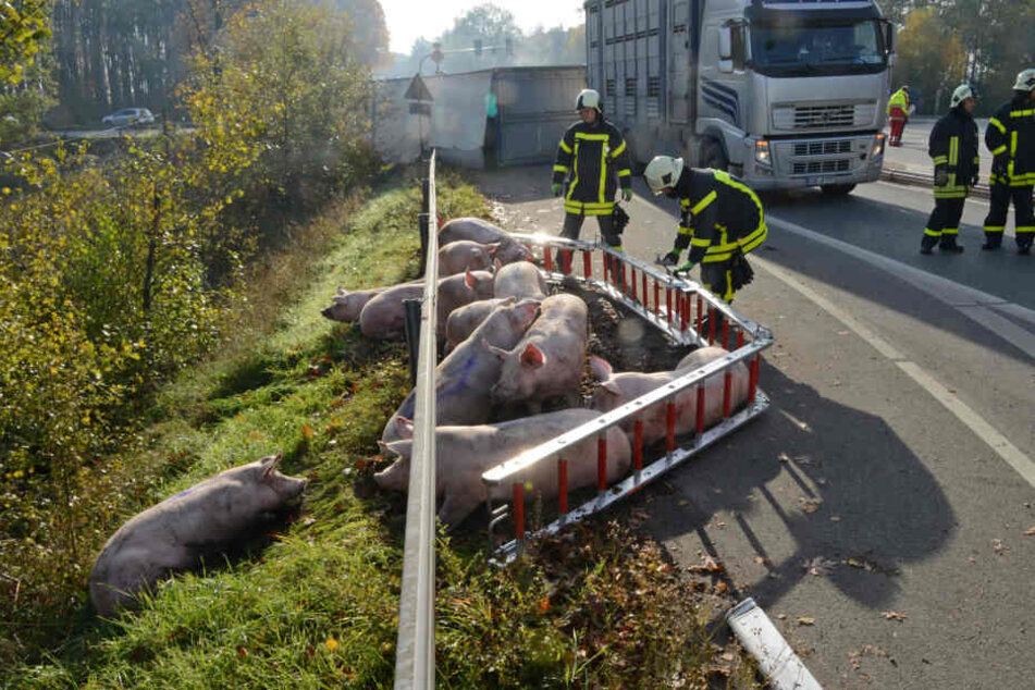 Der Anhänger kippte aus bisher ungeklärter Ursache nach rechts um.
