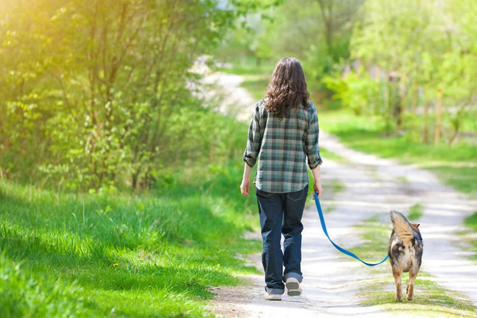 Die Frau war gerade mit ihrem Hund unterwegs, als die Attacke passierte.