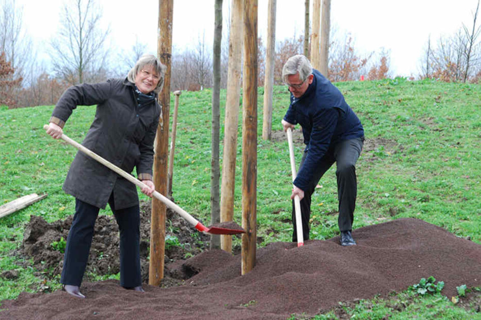 Seit Herbst 2017 pflanzt Leipzig kräftig Bäumchen. Jetzt dürfen sich vor allem die Südvorstadt und das westliche Zentrum über neues Grün vor der Tür freuen.