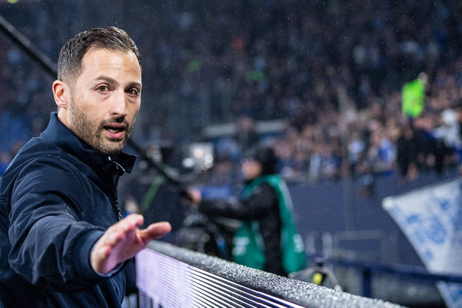 Nach 20 Monaten war für Tedesco auf Schalke März diesen Jahres Schluss. Nun geht es für ihn nach Moskau.