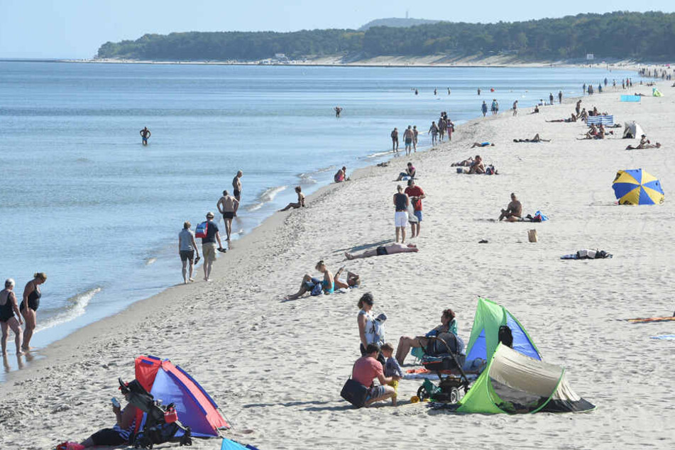 Strände, wie der auf der Insel Usedom, könnten 2019 des Öfteren wegen Robbennachwuchs gesperrt werden. (Symbolbild)