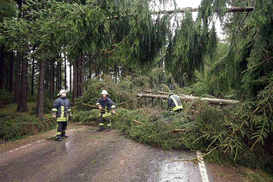 Vor allem wegen umgestürzter Bäume musste die Feuerwehr ausrücken.