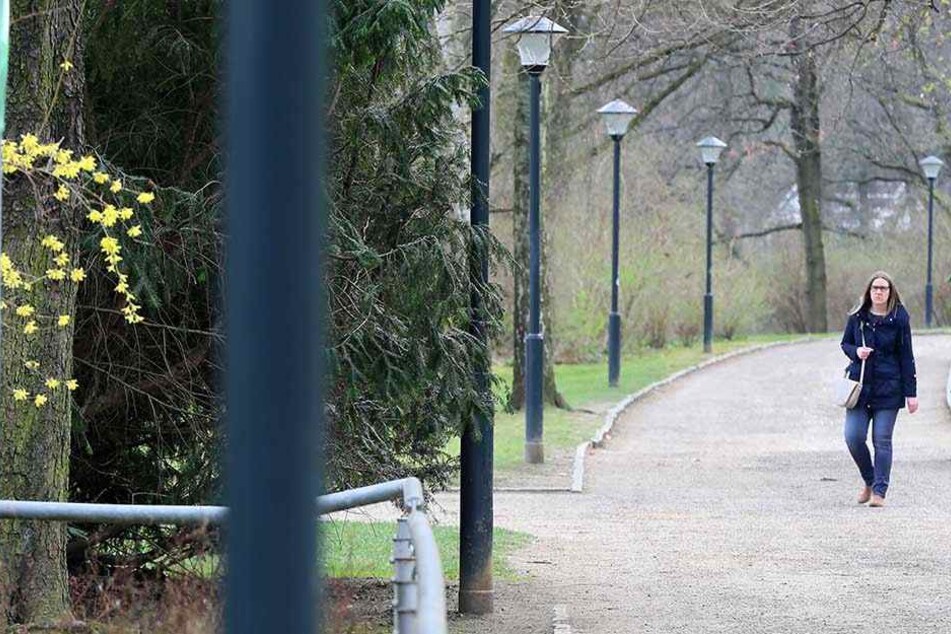 Es werde Licht. Der Rundweg am Schwanenteich soll besser beleuchtet und sicherer werden.