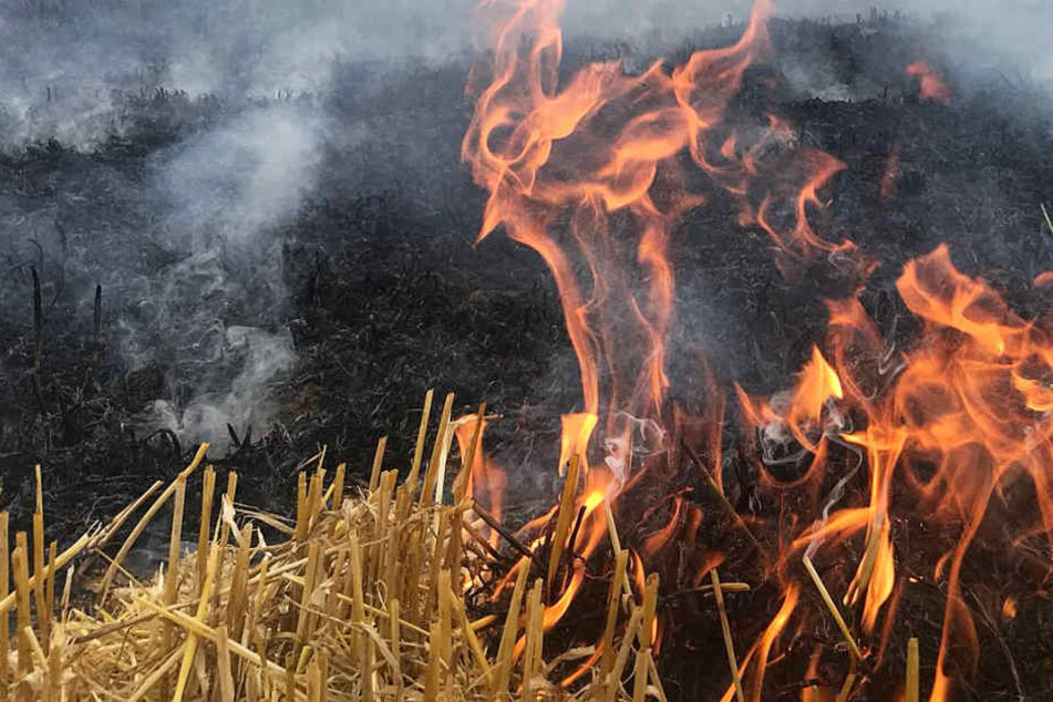 Die Feuerwehr mahnt eindringlich: Wegen der Trockenheit genügt ein Funke, um einen Brand zu verursachen (Symbolbild).