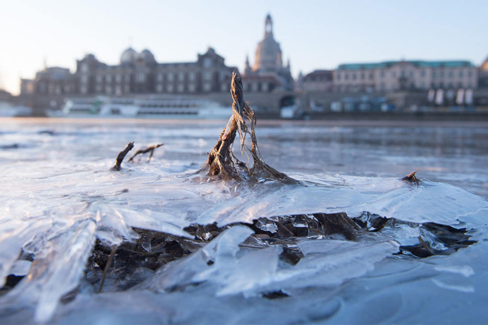 Die arktische Kälte wird sich noch ein paar Tage in Dresden halten.