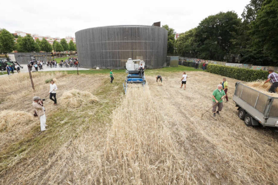 Die Helfer der Humboldt-Uni bei der Roggenernte vor der Kapelle der Versöhnung.