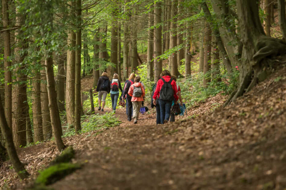 Spaziergänger hatten den leblosen Körper des 67-Jährigen entdeckt (Symbolbild).