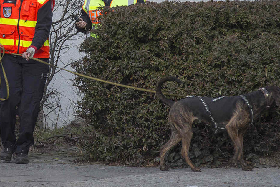 Die Täter sind vermutlich bereits am Donnerstagabend in das Haus eingedrungen.