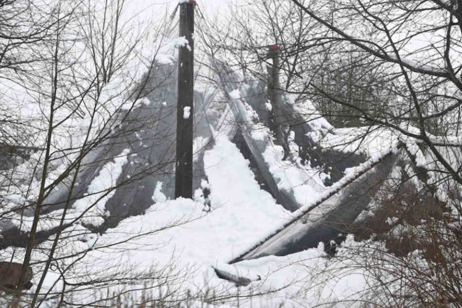 Die Netze der Volieren konnten den matschigen Schneemassen im Vogelpark Marlow nicht standhalten.