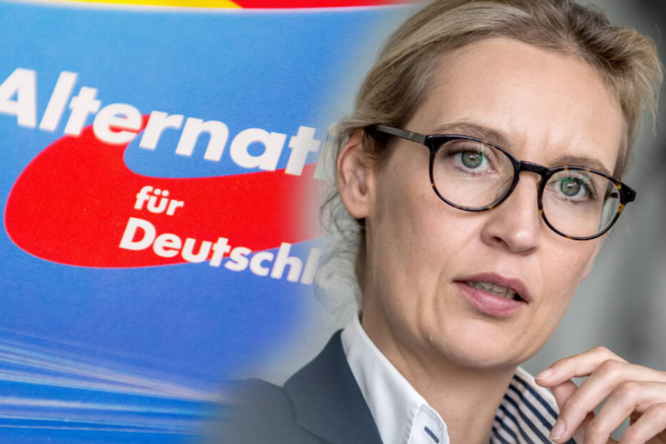 Frauen mit riesenbrüsten Frauen mit riesenbrüsten