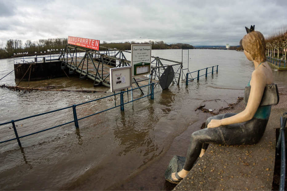Das Bild zeigt das überflutete Rheinufer in Wiesbaden-Biebrich am Mittwochnachmittag.
