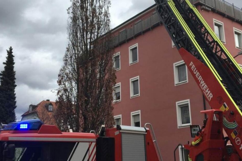 Die Feuerwehr rettet die Eichhörnchenkinder über die Drehleiter.