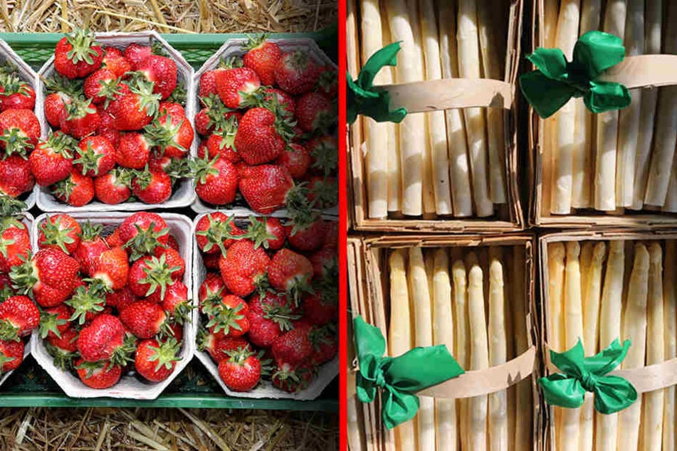 Beides besonders begehrt: Während Erdbeeren dieses Jahr Luxus sind, konnte der Spargel hin und wieder als Schnäppchen am Stand oder im Supermarkt punkten. (Bildmontage)