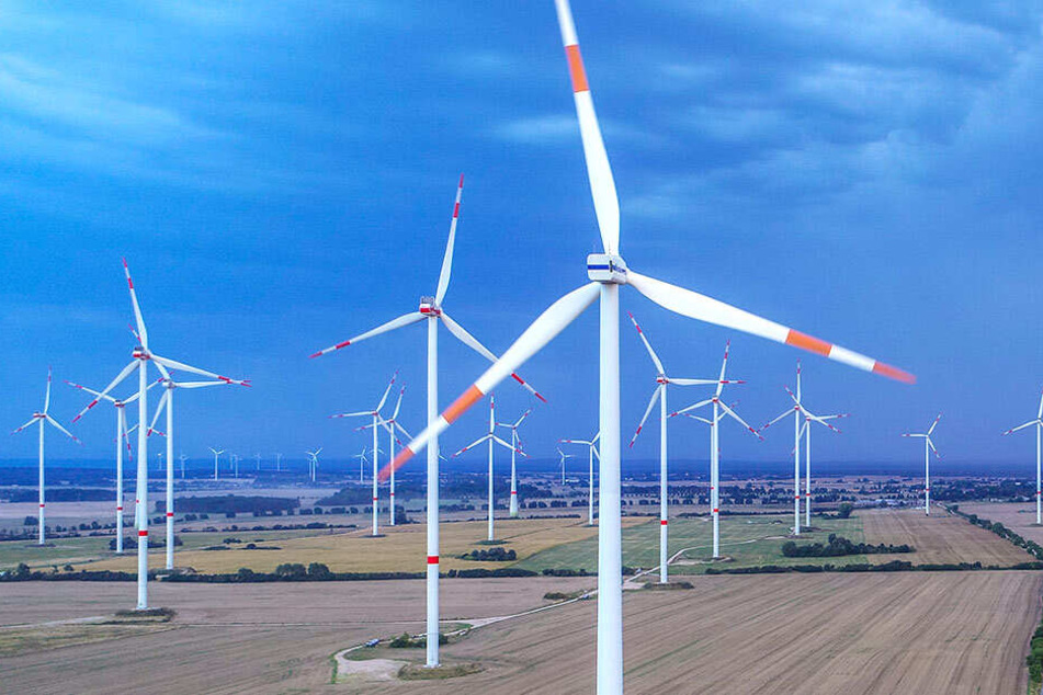 2018 wurden in Baden-Württemberg nur 35 neue Windenergieanlagen gebaut.