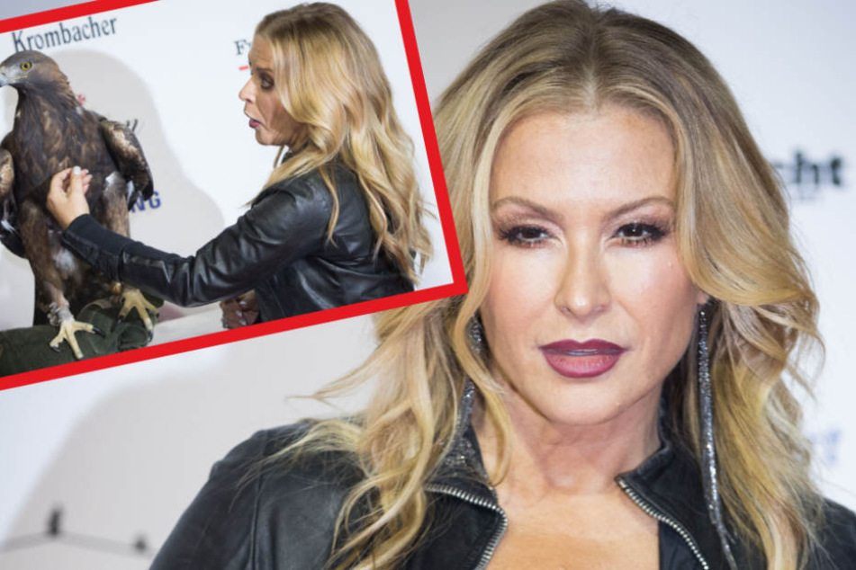 Sängerin Anastacia wird heute beim Sportpresseball dem Publikum einheizen.