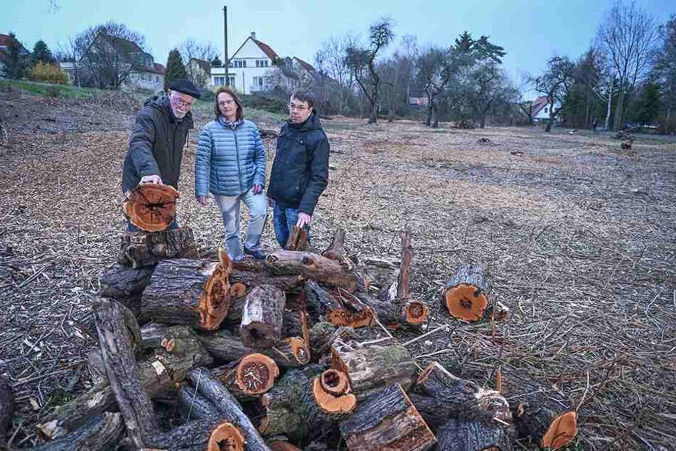 Christoph Hille (66, v.l.), Kathrin Schiffel (50) und Jens Rösler (53) wehren sich gegen das Baum-Massaker.