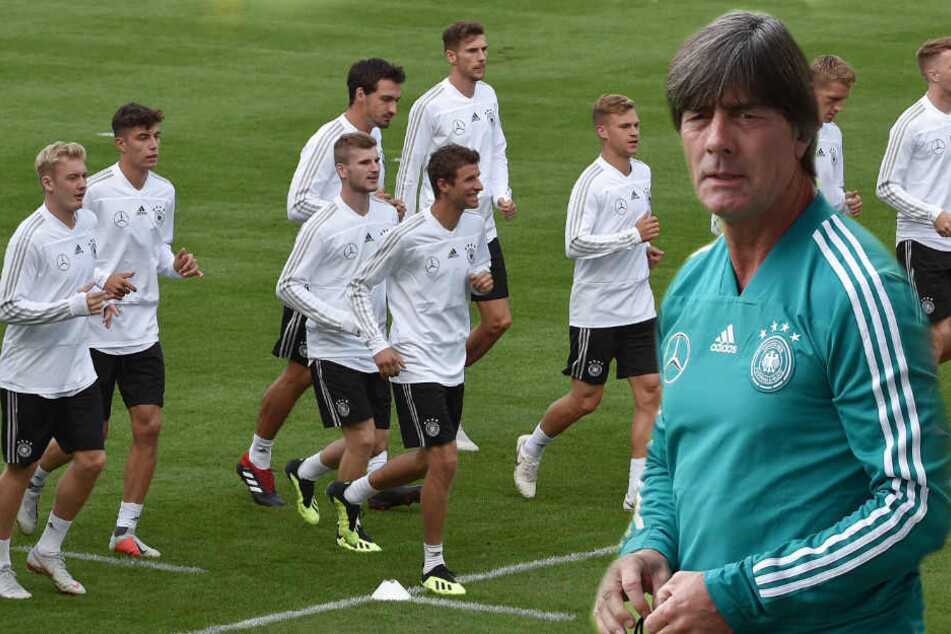 Bis zu 5000 können beim öffentlichen Training dabei sein.