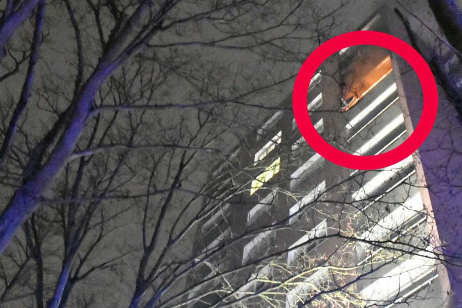 Der rote Kreis markiert den brennenden Balkon.