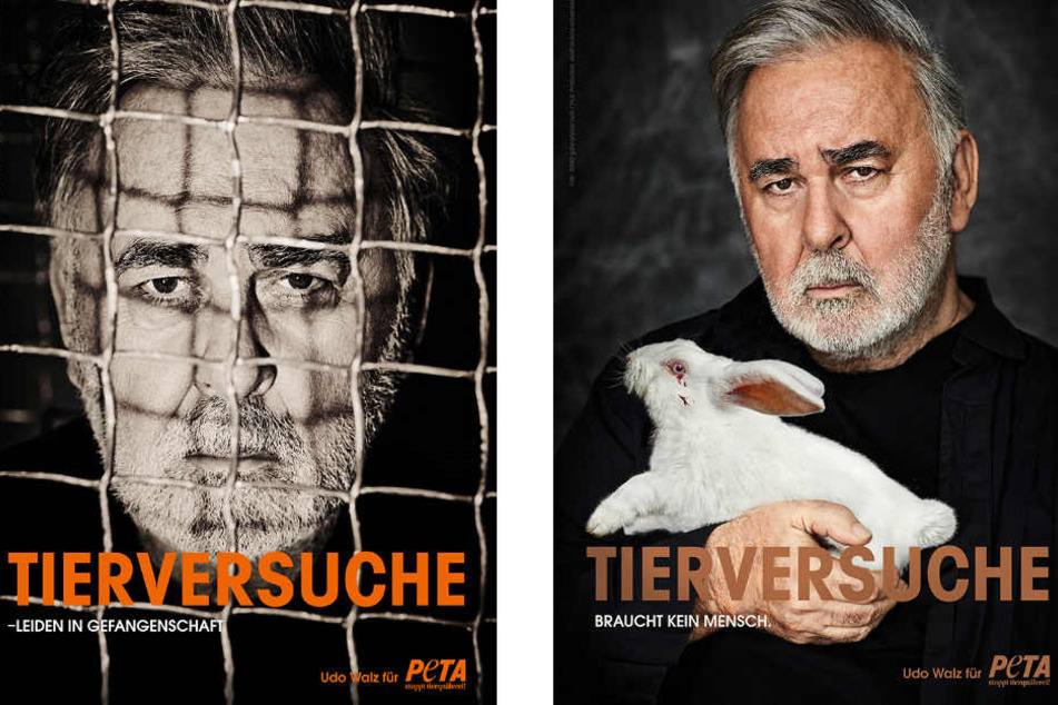 Walz' neue Haarpflege-Serie ist vegan, tierversuchsfrei und offiziell durch PETAs „Cruelty free and vegan“-Logo gekennzeichnet.