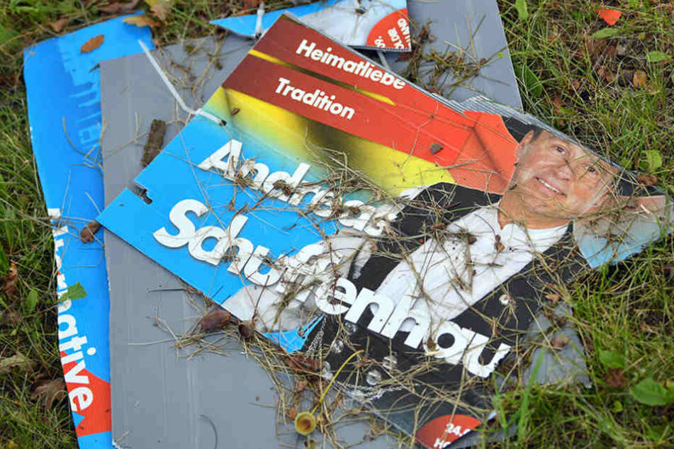 Erst im September wurden noch Wahlplakate der AfD in Lebus zerstört.