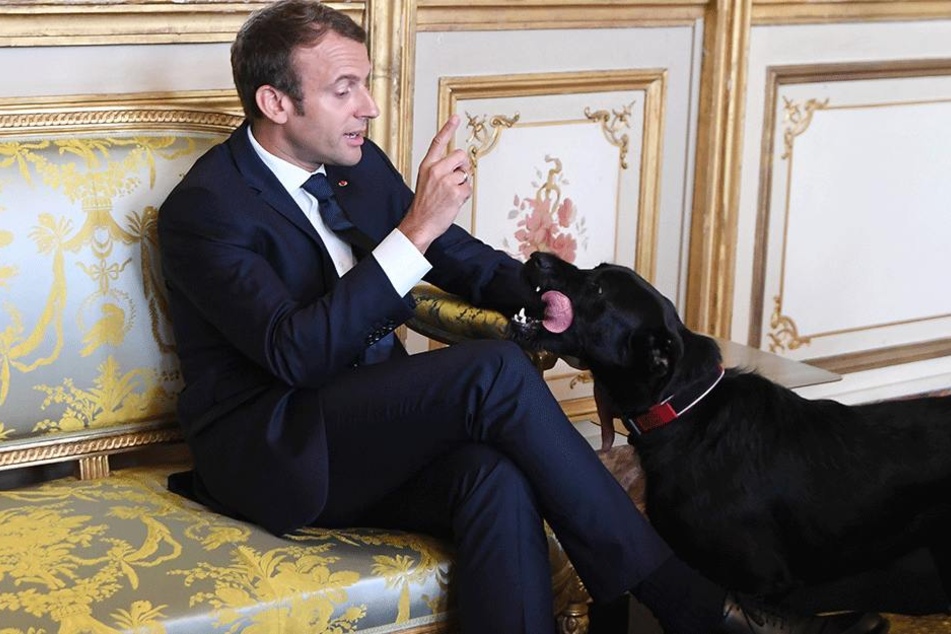 Wehe Freundchen, das passiert noch mal... Monsieur le President liest Nemo die Leviten.