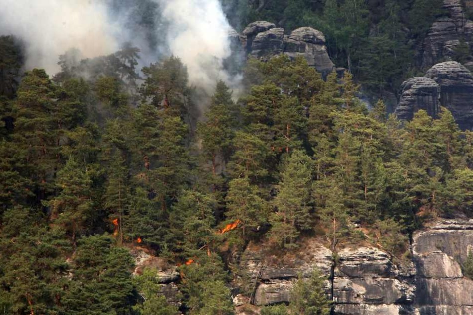 Stundenlang kämpfte die Feuerwehr gegen den Waldbrand.